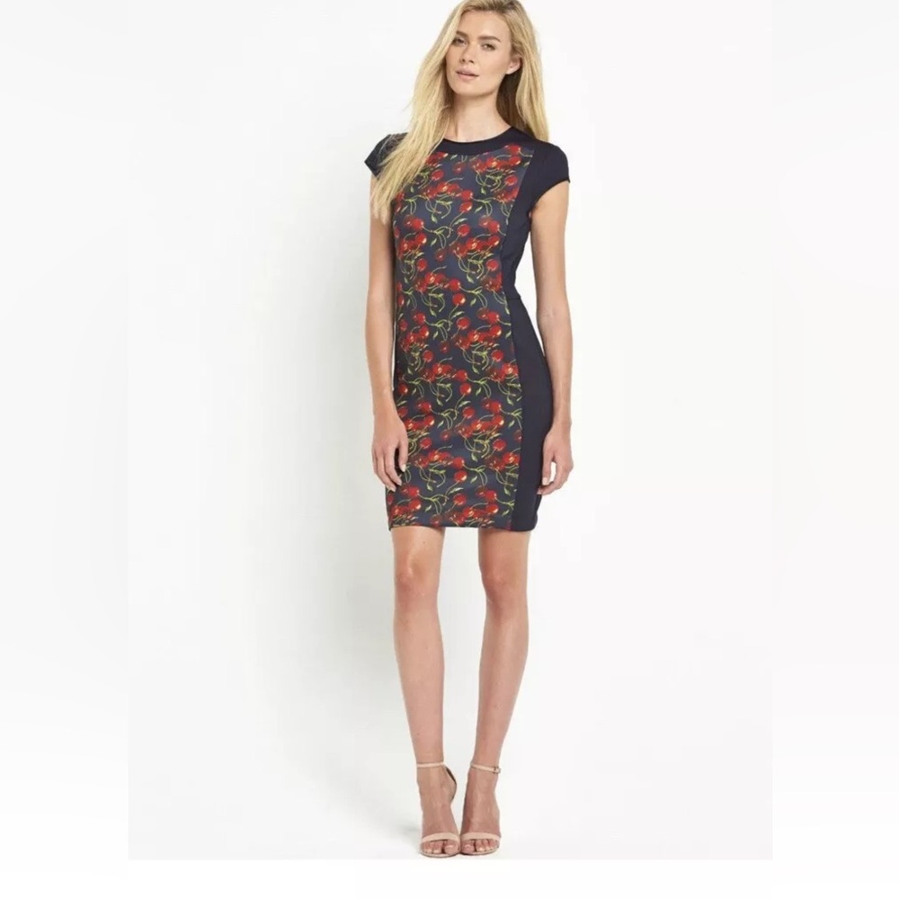 Stunning EUC Ted Baker cherry print dress made in London